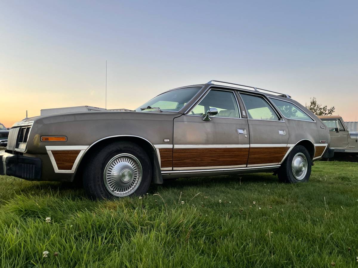 Amc-concorde-woody-1978-brown
