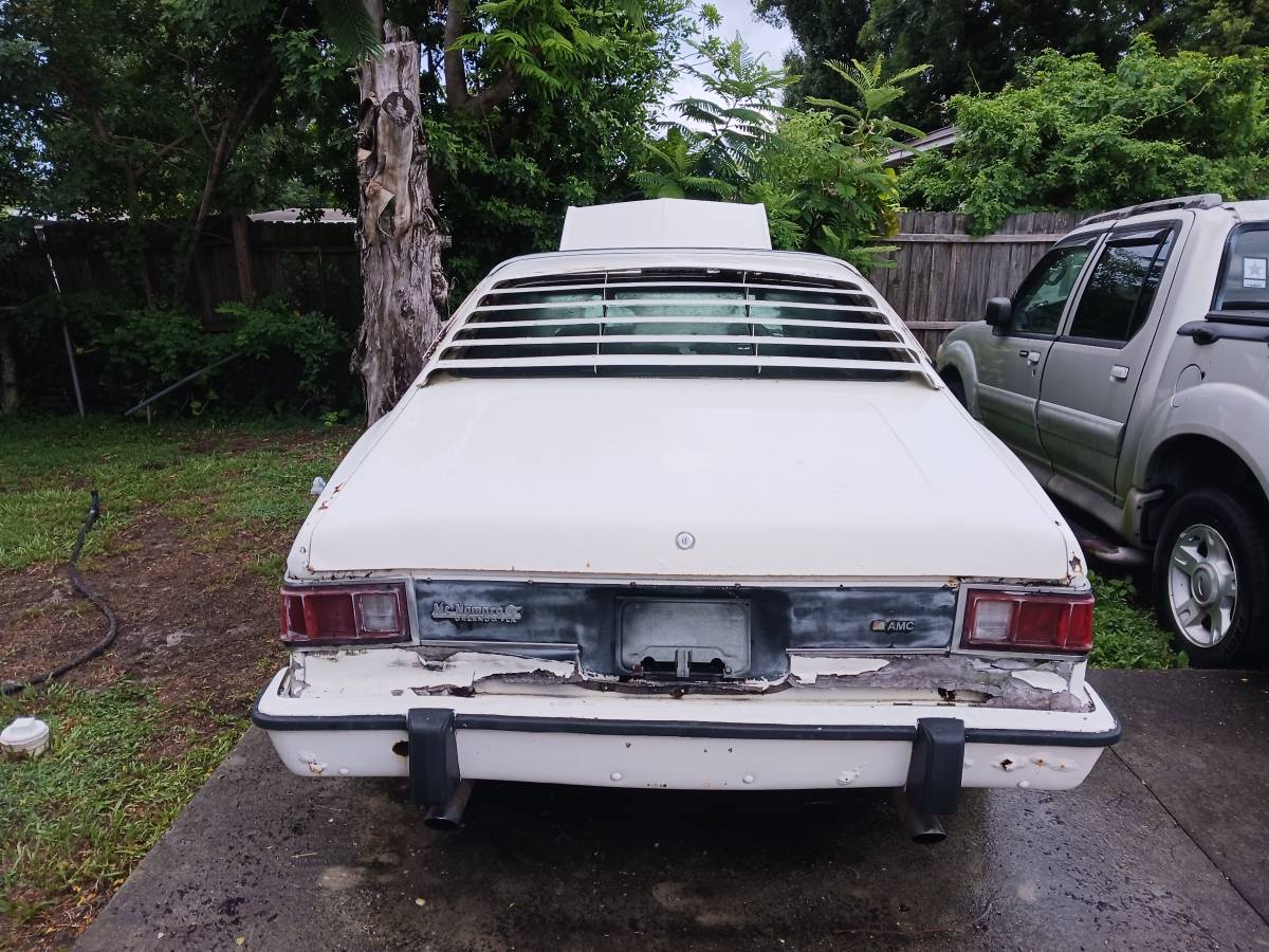 Amc-hornet-amx-1977-white-5