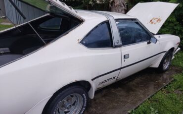 Amc-hornet-amx-1977-white-6