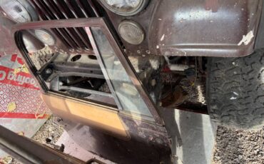 Amc-jeep-cj7-1978-brown-13