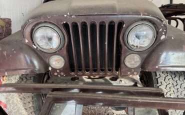 Amc-jeep-cj7-1978-brown-19