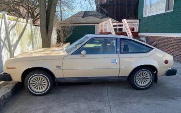 Amc-spirit-1979-brown-1