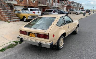 Amc-spirit-1979-brown-2