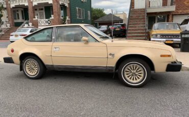 Amc-spirit-1979-brown-3