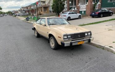 Amc-spirit-1979-brown