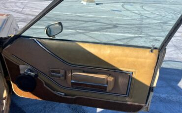 Amc-spirit-1979-brown-6