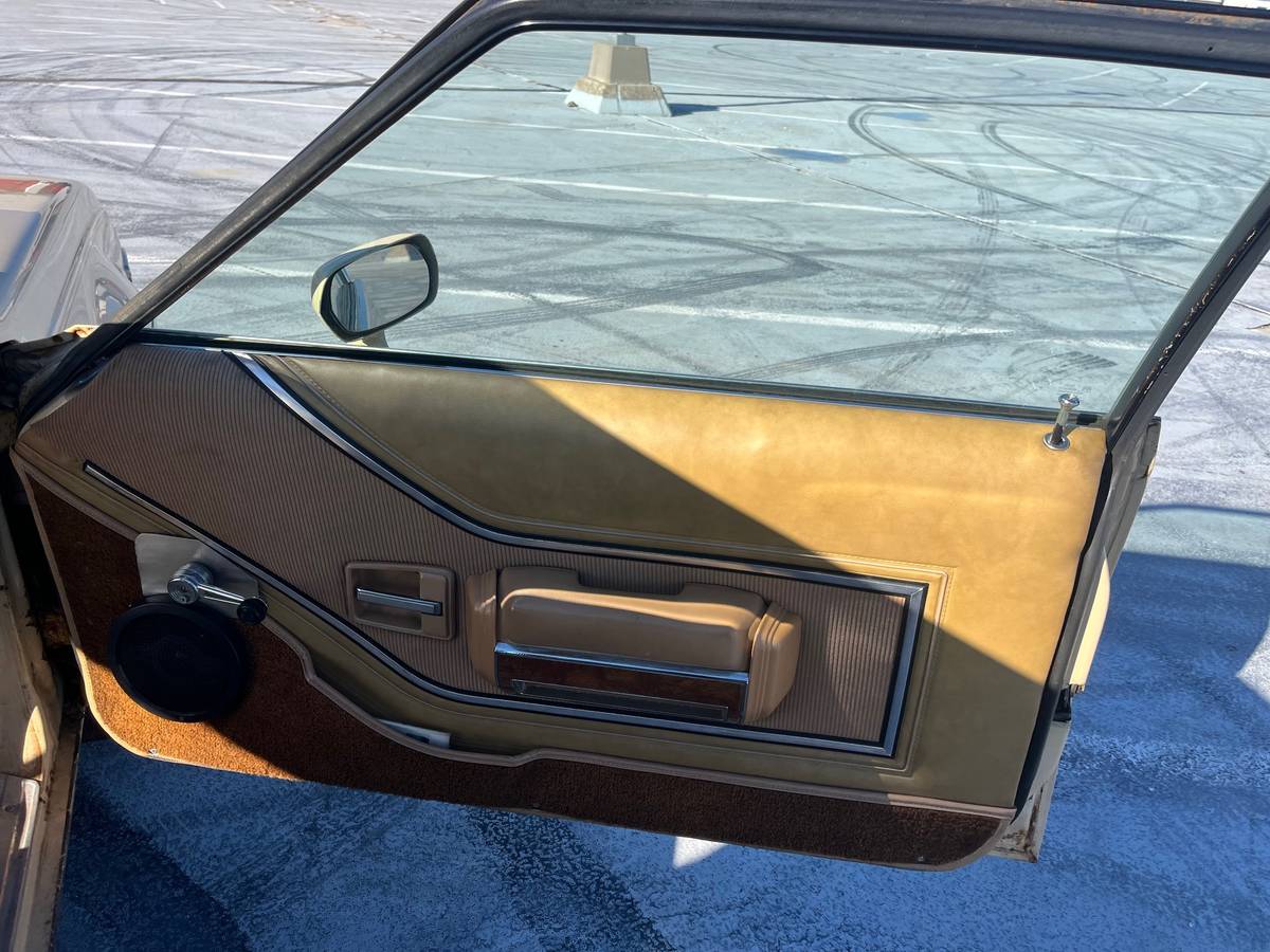 Amc-spirit-1979-brown-6