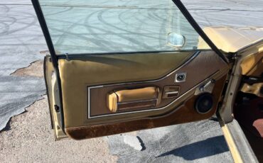 Amc-spirit-1979-brown-7