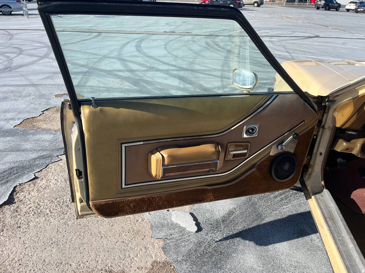 Amc-spirit-1979-brown-7