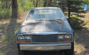 Amc-sx4-1982-2