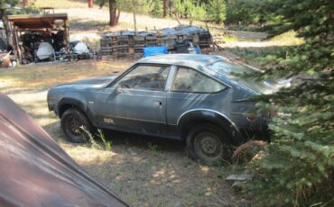 Amc-sx4-1982-4