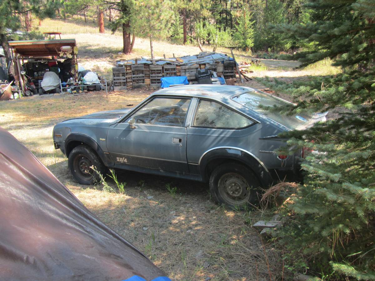 Amc-sx4-1982-4