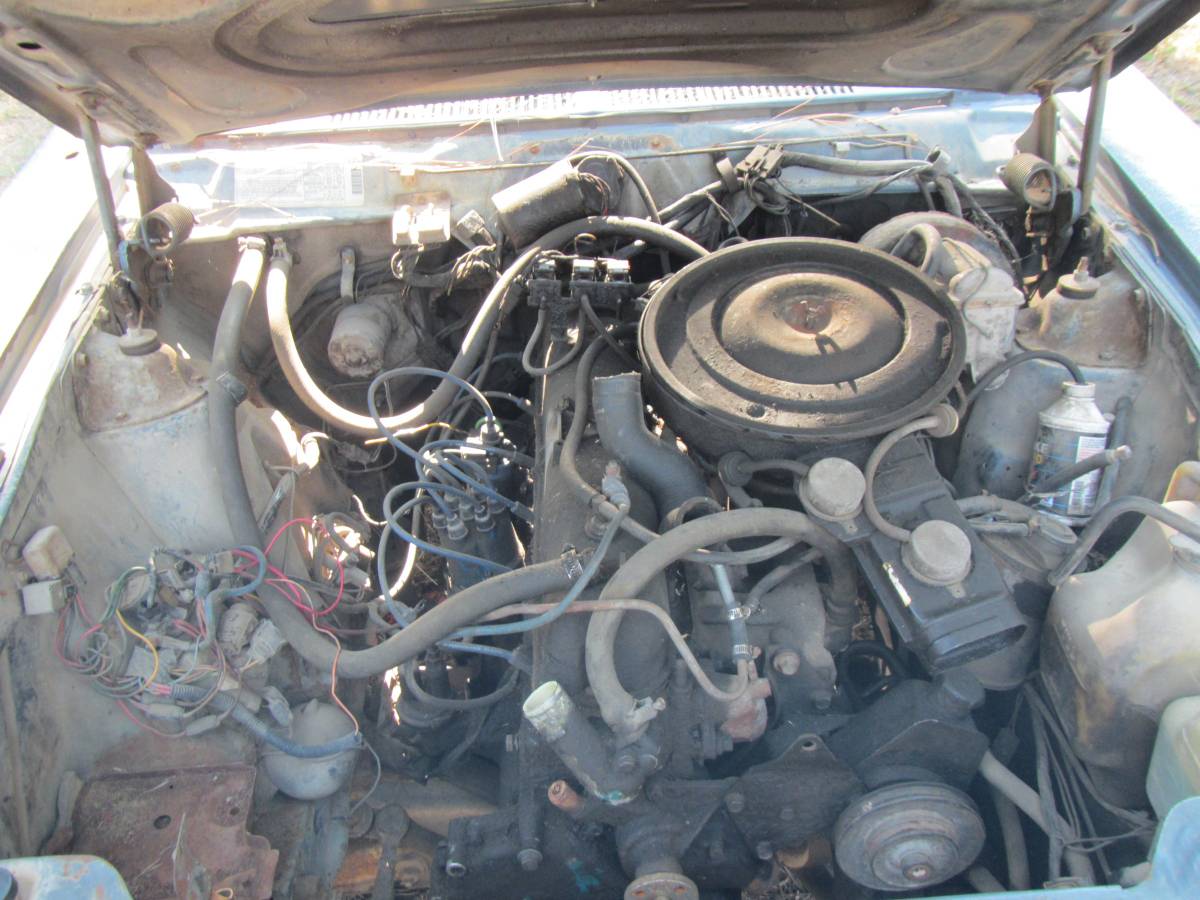 Amc-sx4-1982-5