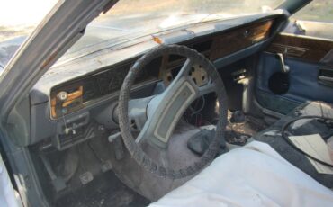 Amc-sx4-1982-8