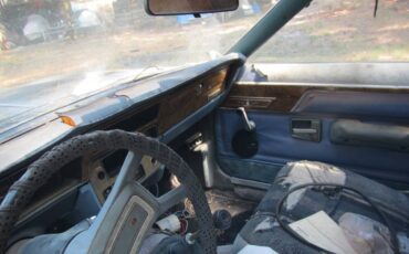 Amc-sx4-1982-9
