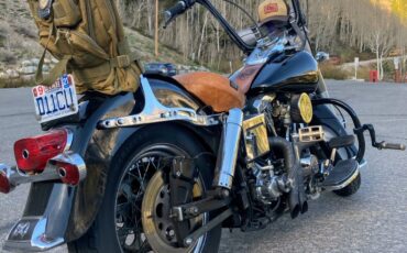American-Classic-Motors-Harley-Davidson-1981