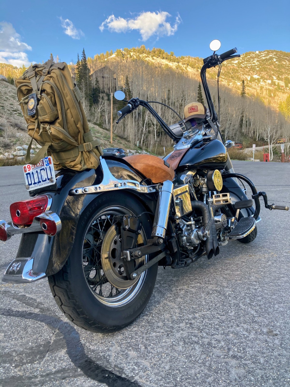 American-Classic-Motors-Harley-Davidson-1981