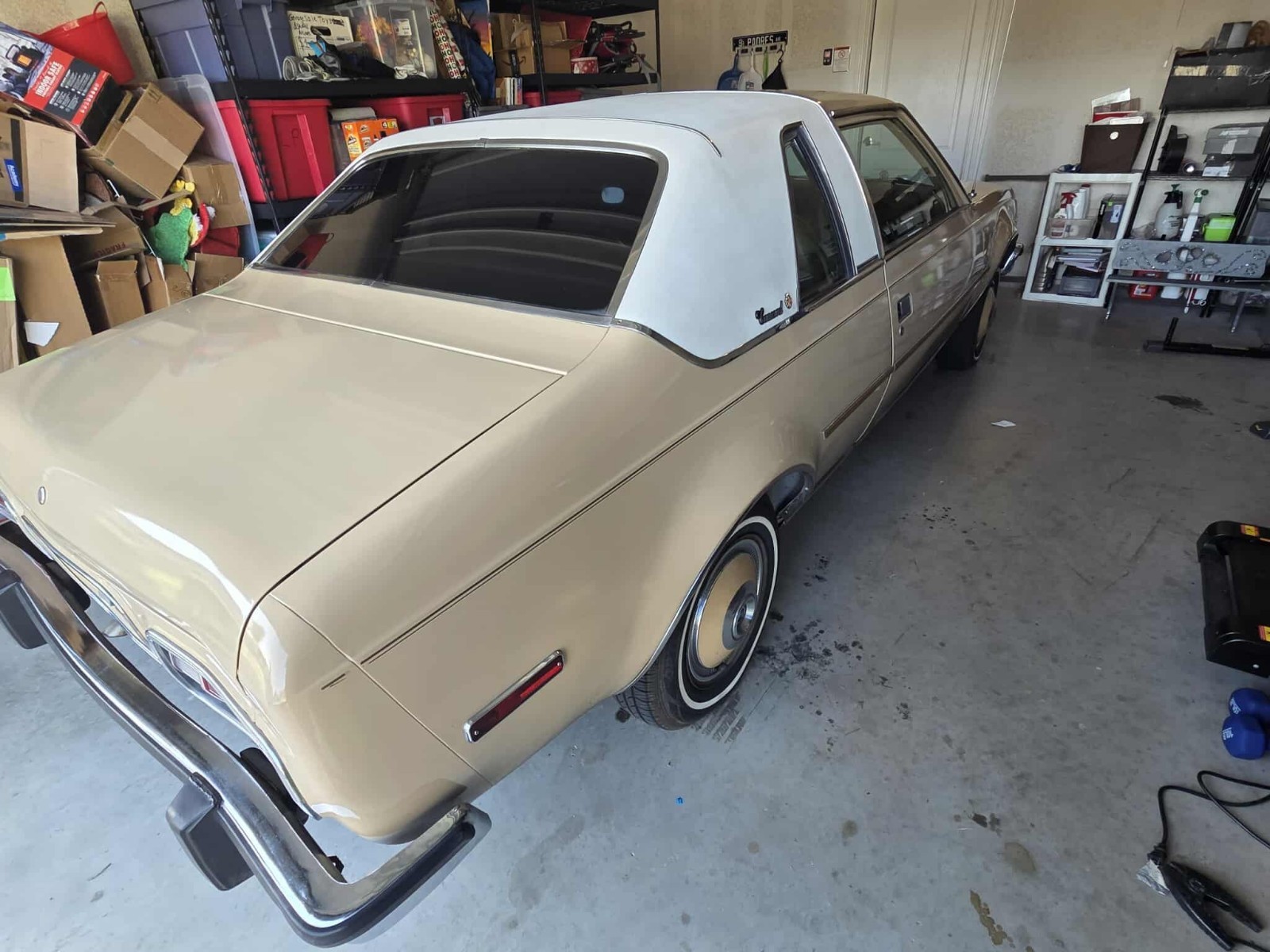 American-Motors-Concord-1978-18