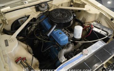 American-motors-Rambler-1963-Valencia-White-Houndstooth-14