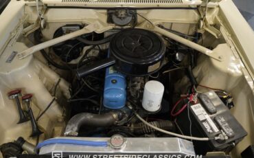American-motors-Rambler-1963-Valencia-White-Houndstooth-34