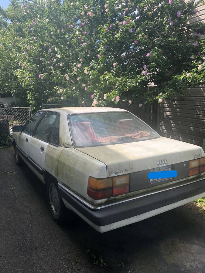 Audi-100-1991-white