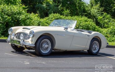 Austin-Healey-100-6-1959-Roadster-11