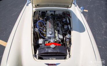 Austin-Healey-100-6-1959-Roadster-16