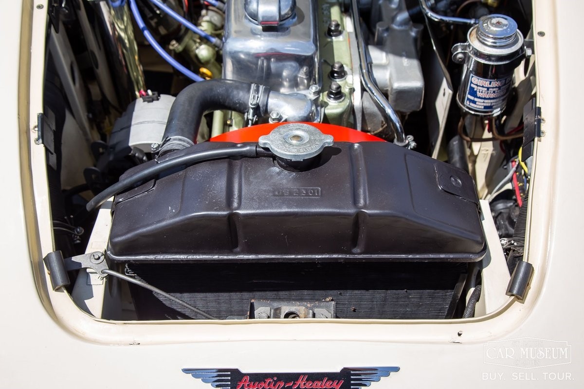 Austin-Healey-100-6-1959-Roadster-22