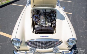 Austin-Healey-100-6-1959-Roadster-4