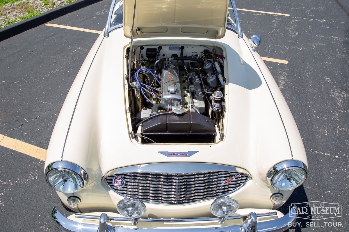Austin-Healey-100-6-1959-Roadster-4