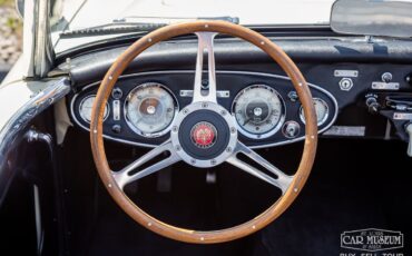 Austin-Healey-100-6-1959-Roadster-6