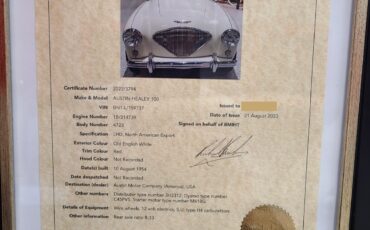 Austin-Healey-100M-1954-Convertible-15