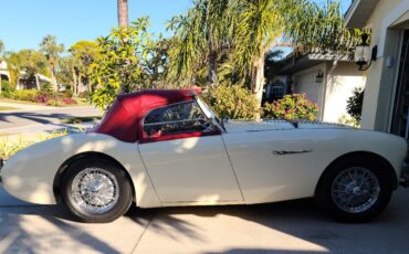Austin-Healey-100M-1954-Convertible-2