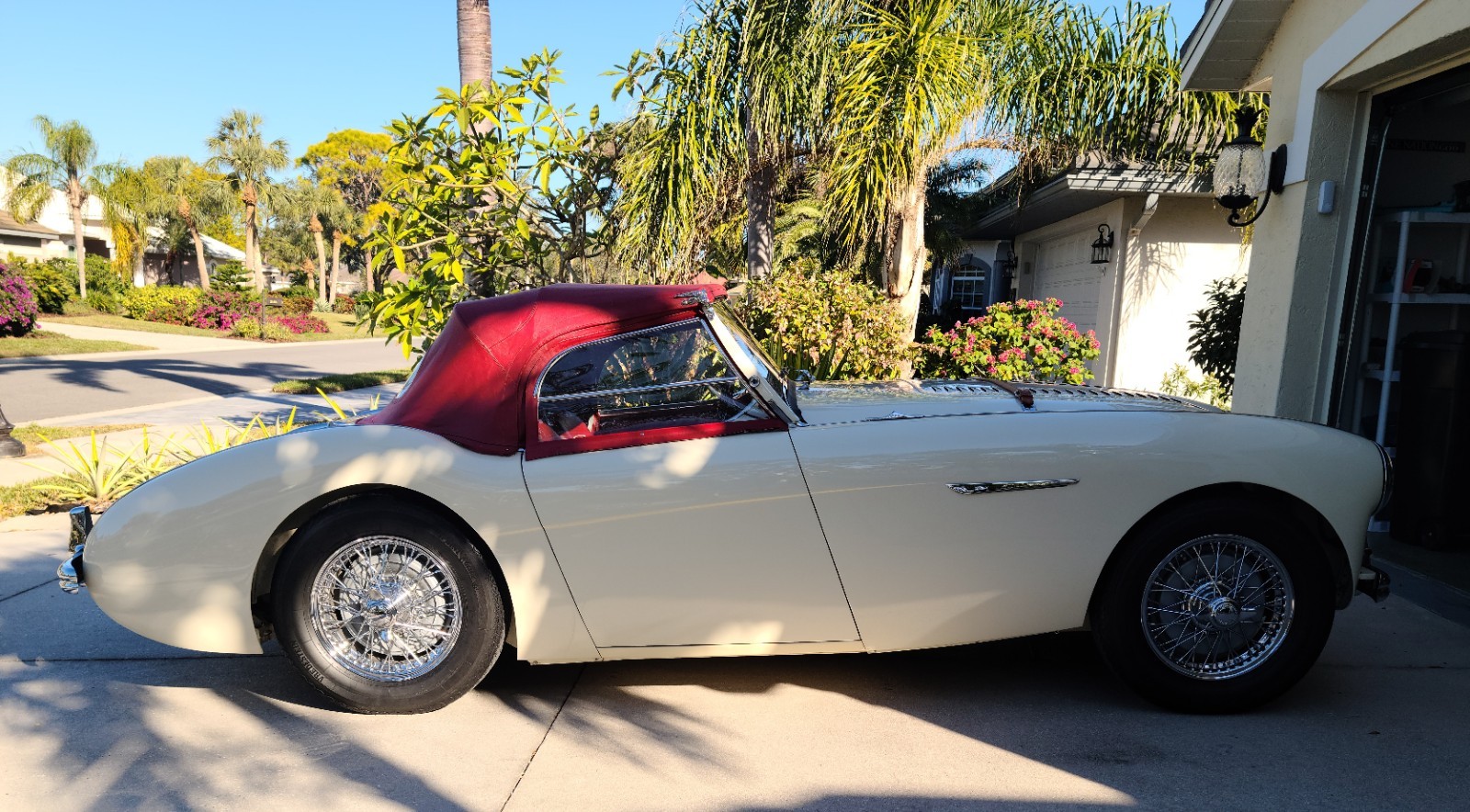 Austin-Healey-100M-1954-Convertible-2