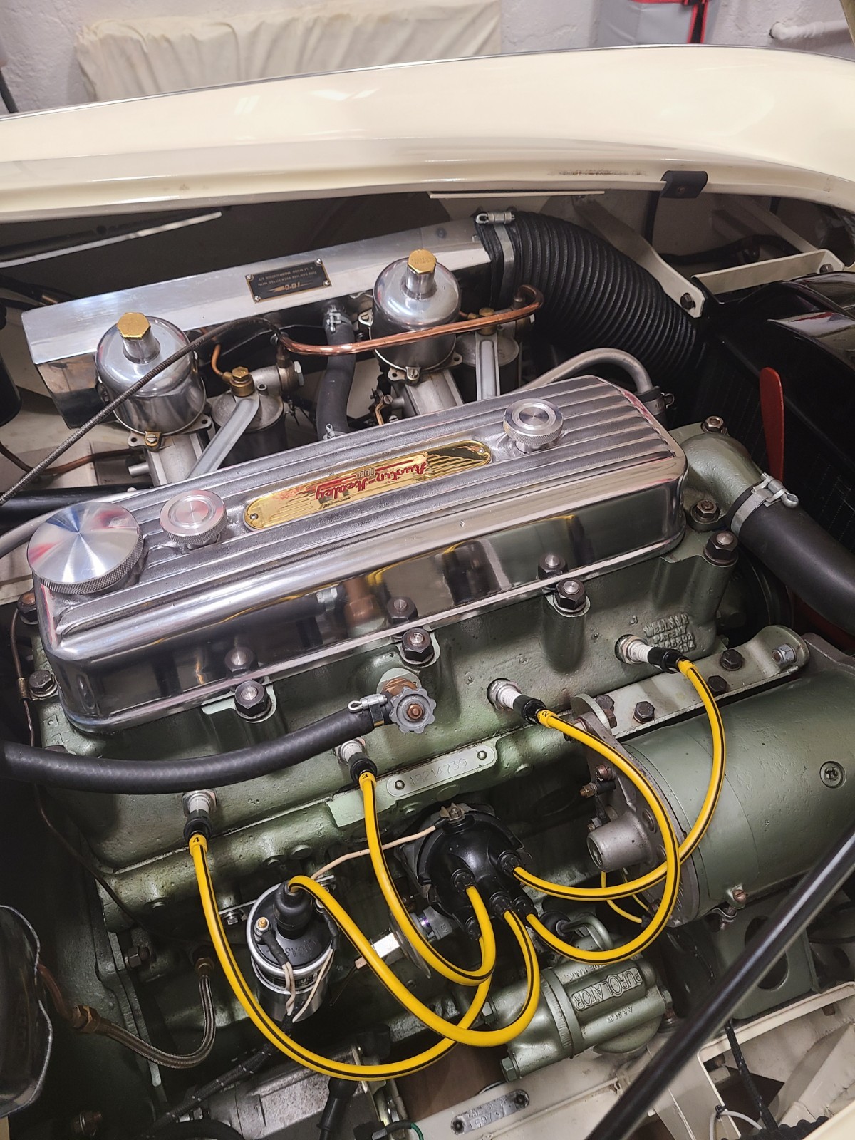Austin-Healey-100M-1954-Convertible-3