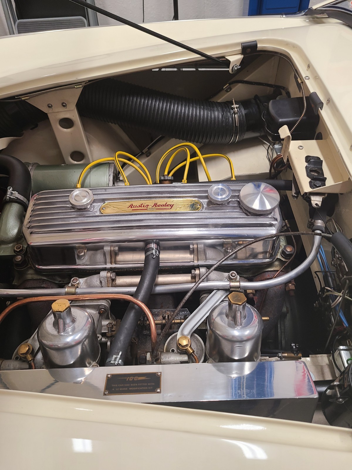 Austin-Healey-100M-1954-Convertible-4