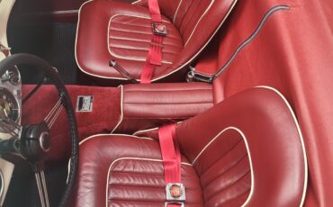 Austin-Healey-100M-1954-Convertible-6