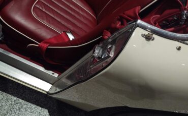 Austin-Healey-100M-1954-Convertible-8