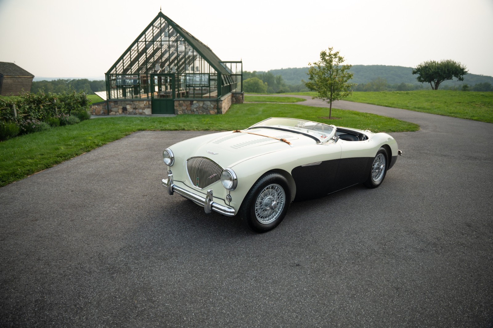 Austin-Healey-100M-1956-Convertible-1