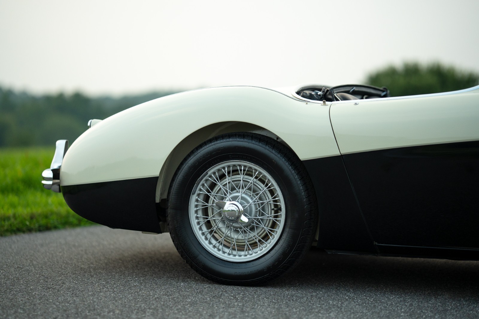 Austin-Healey-100M-1956-Convertible-12