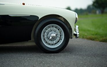 Austin-Healey-100M-1956-Convertible-13