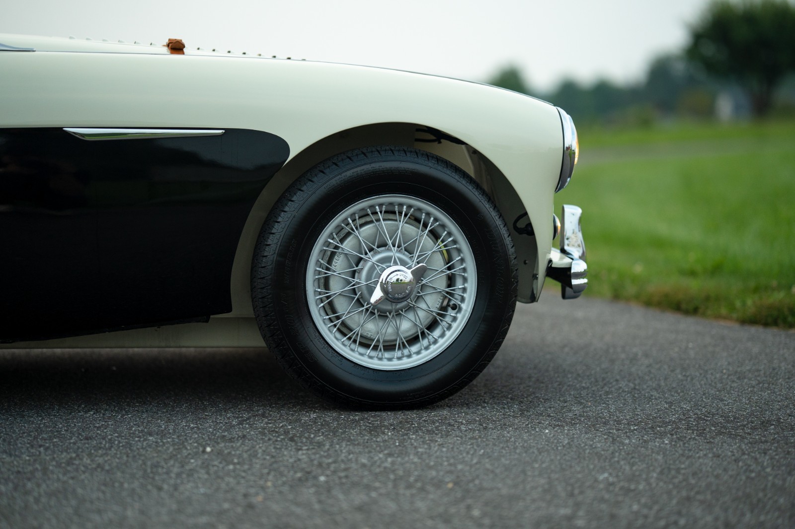Austin-Healey-100M-1956-Convertible-13