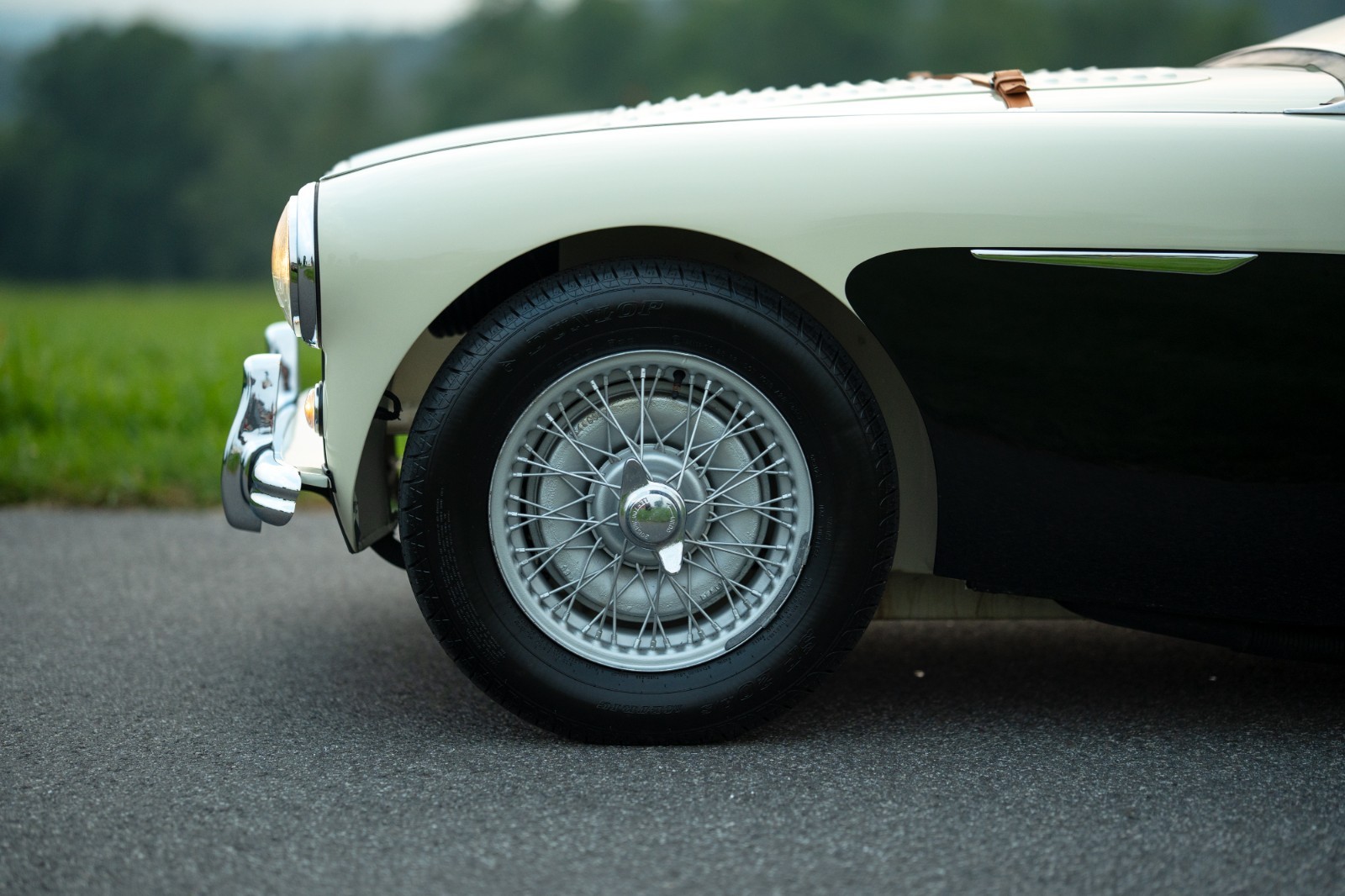 Austin-Healey-100M-1956-Convertible-14