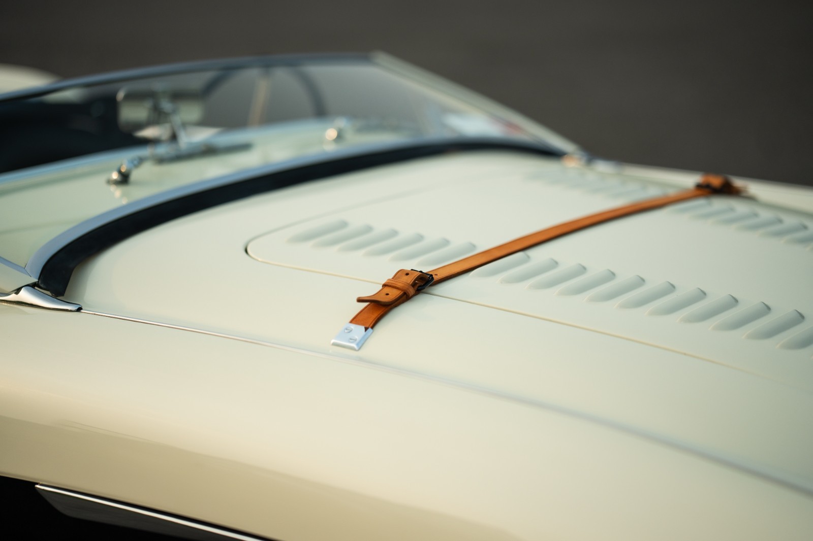 Austin-Healey-100M-1956-Convertible-17