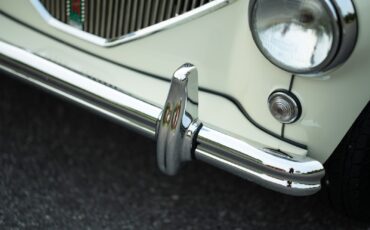 Austin-Healey-100M-1956-Convertible-18