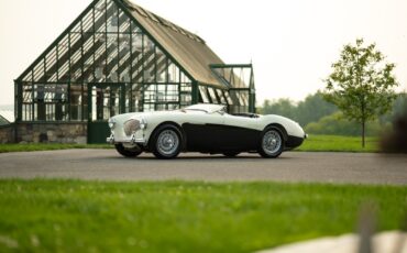 Austin-Healey-100M-1956-Convertible-2