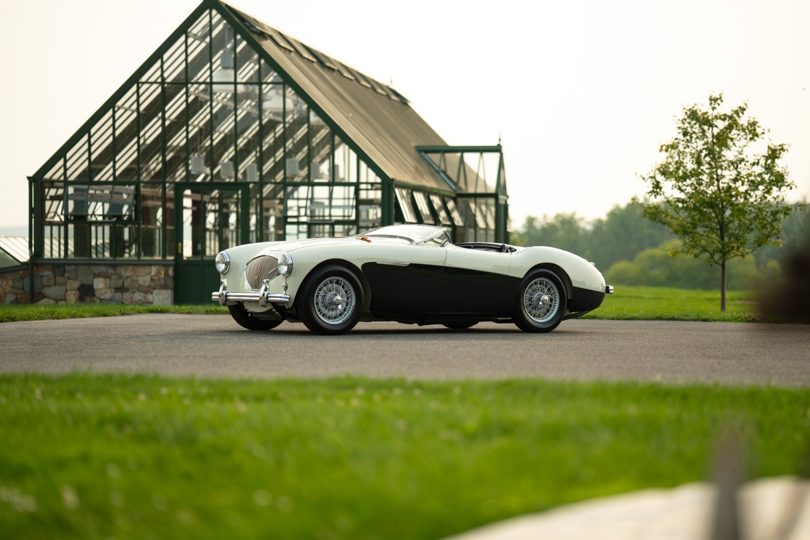 Austin-Healey-100M-1956-Convertible-2