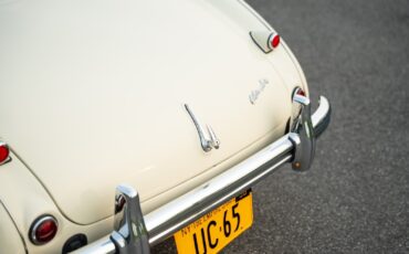 Austin-Healey-100M-1956-Convertible-22