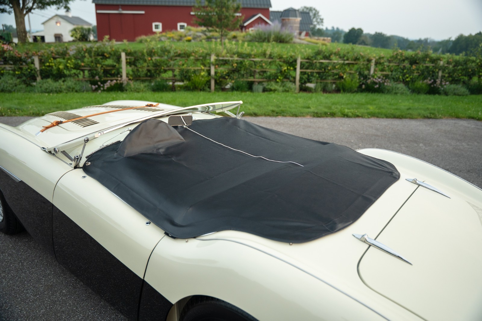 Austin-Healey-100M-1956-Convertible-23