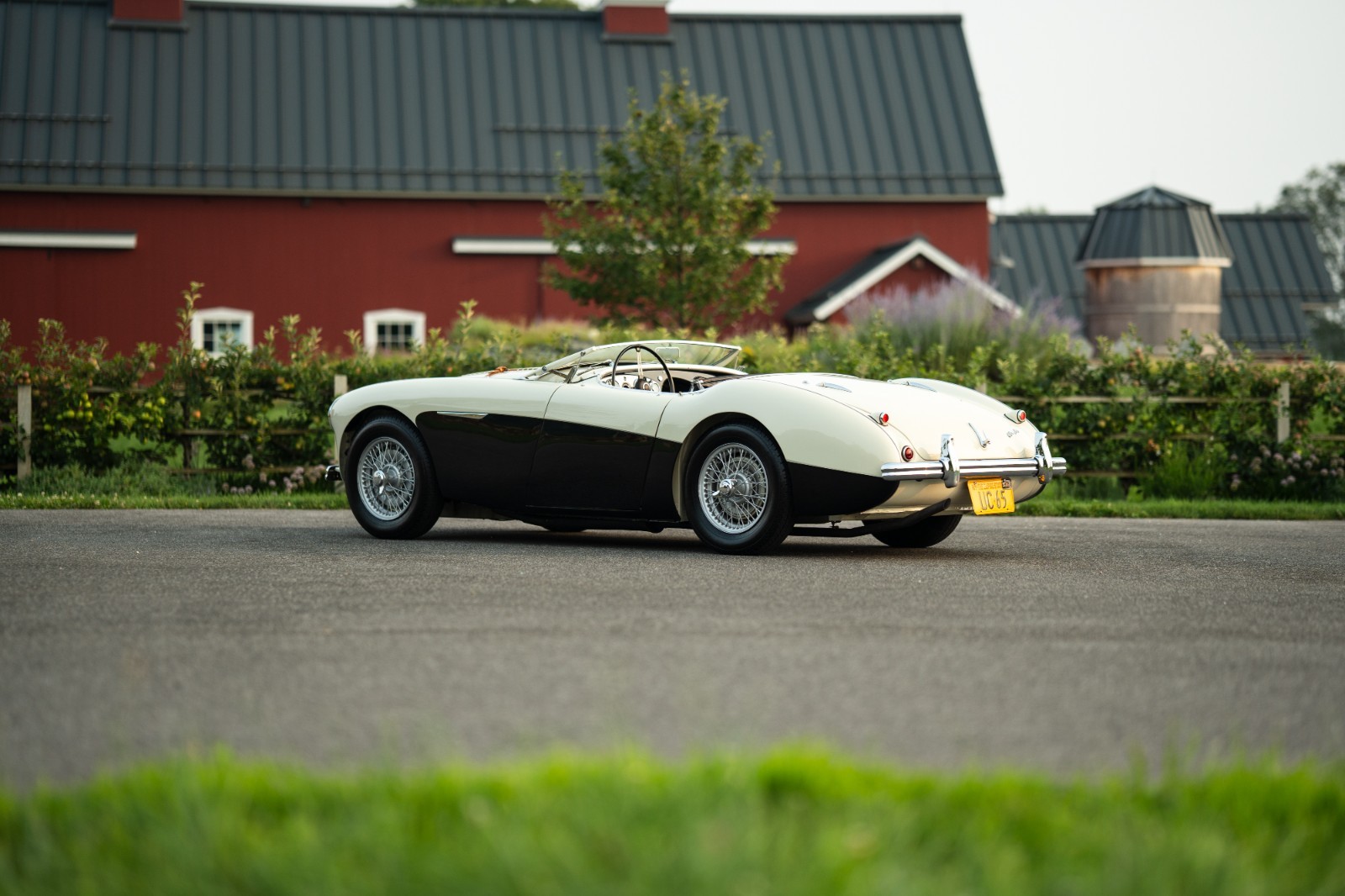 Austin-Healey-100M-1956-Convertible-3